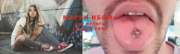 прущие грибы Гусев