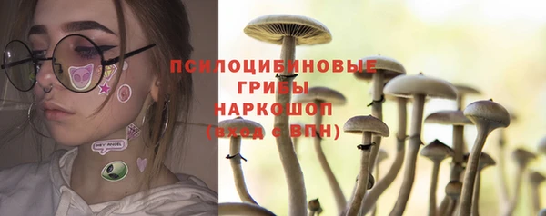 гашик Алзамай