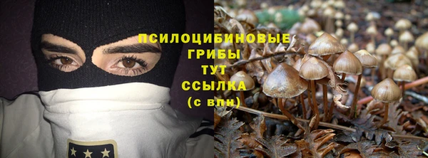 гашик Алзамай